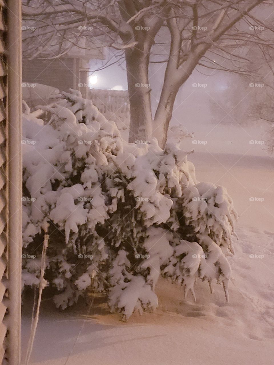 Beautiful Blizzard conditions in the Midwest