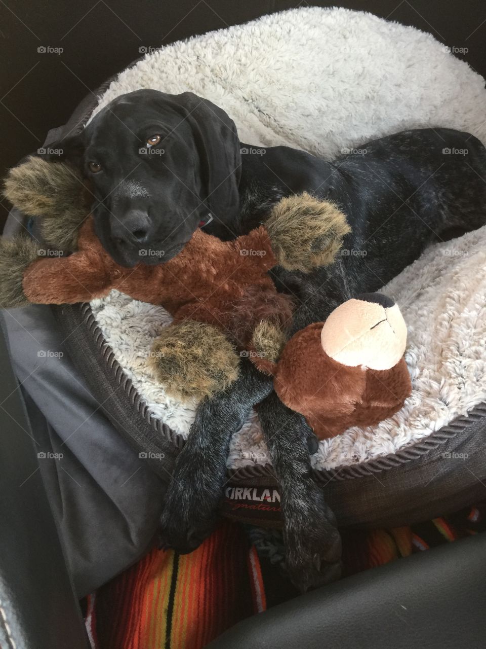 Alfie with toy