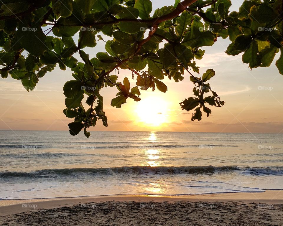 Scenic view of beach against sunrise sky