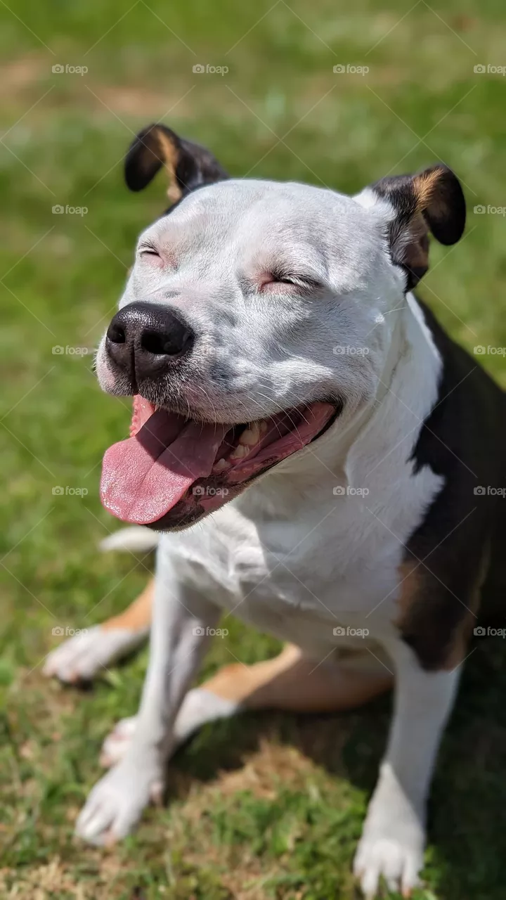Sunshine Face