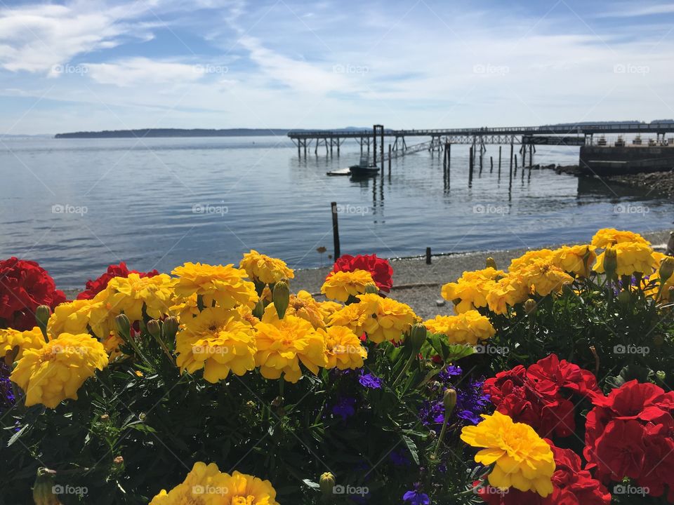 Beauty by the ocean