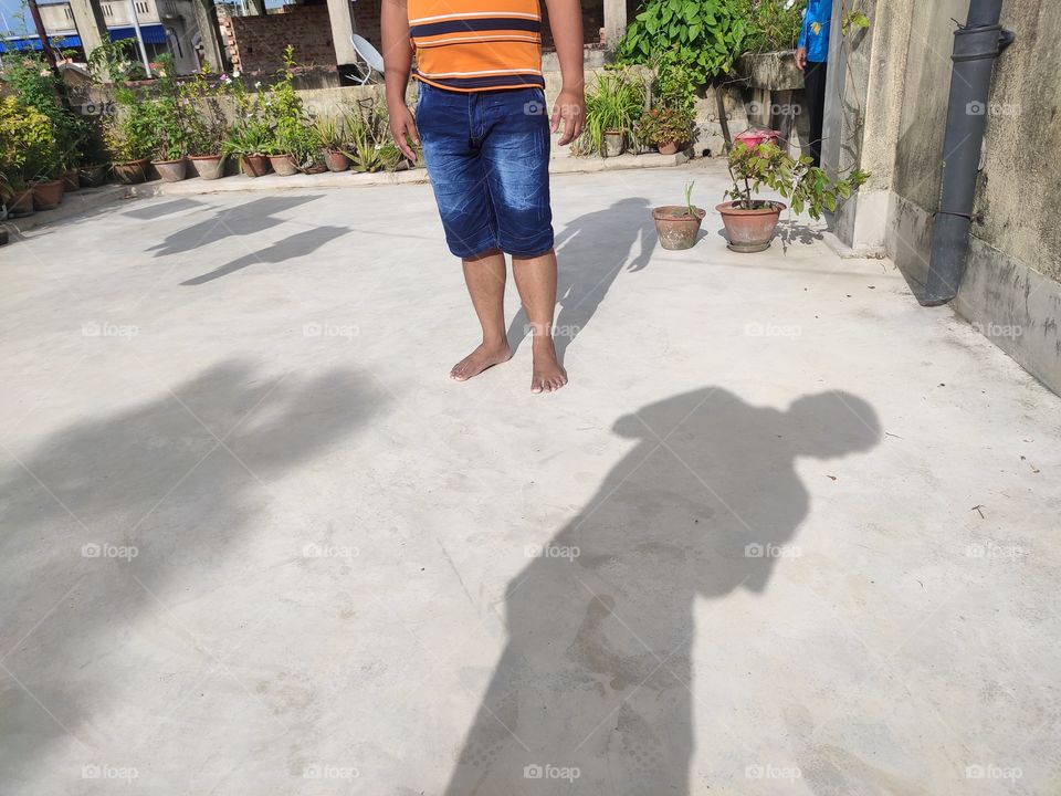 sunlight creating shadow