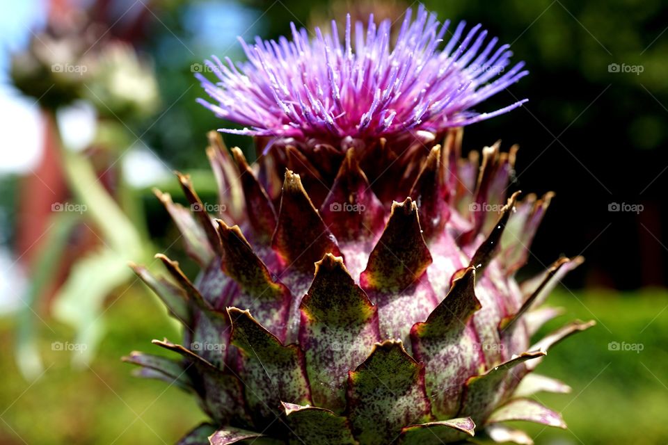 Whatever it is, nice