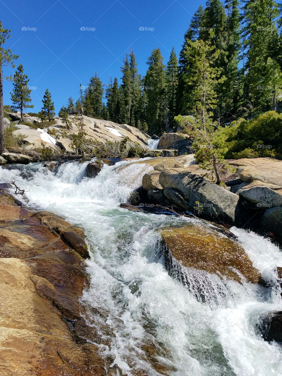 Loon lake