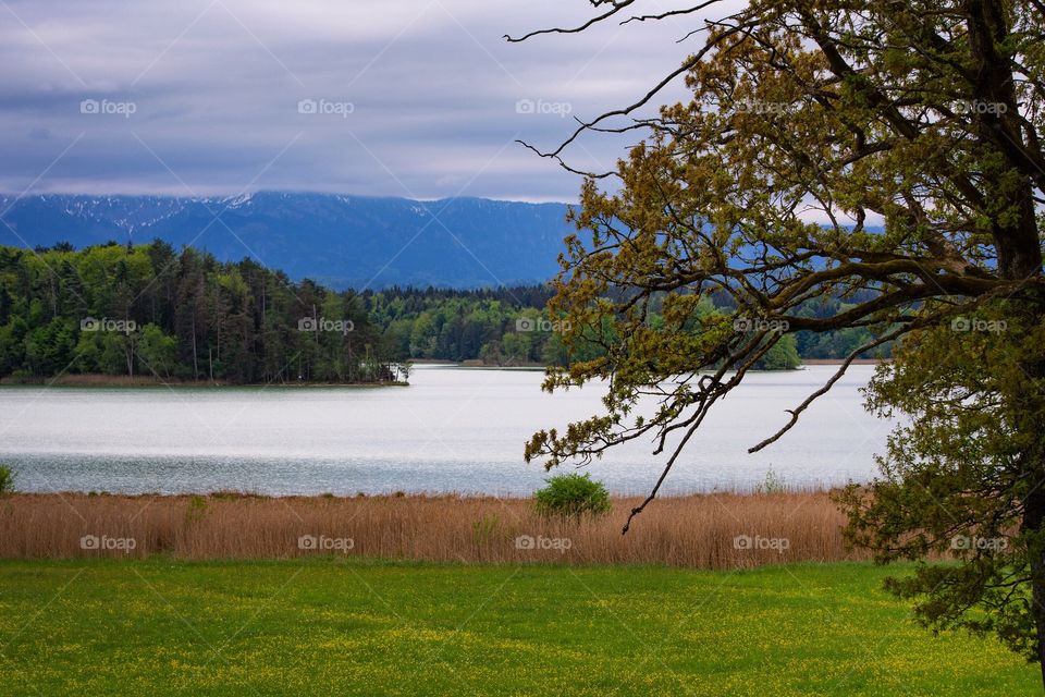 Lake and trees in Bavaria