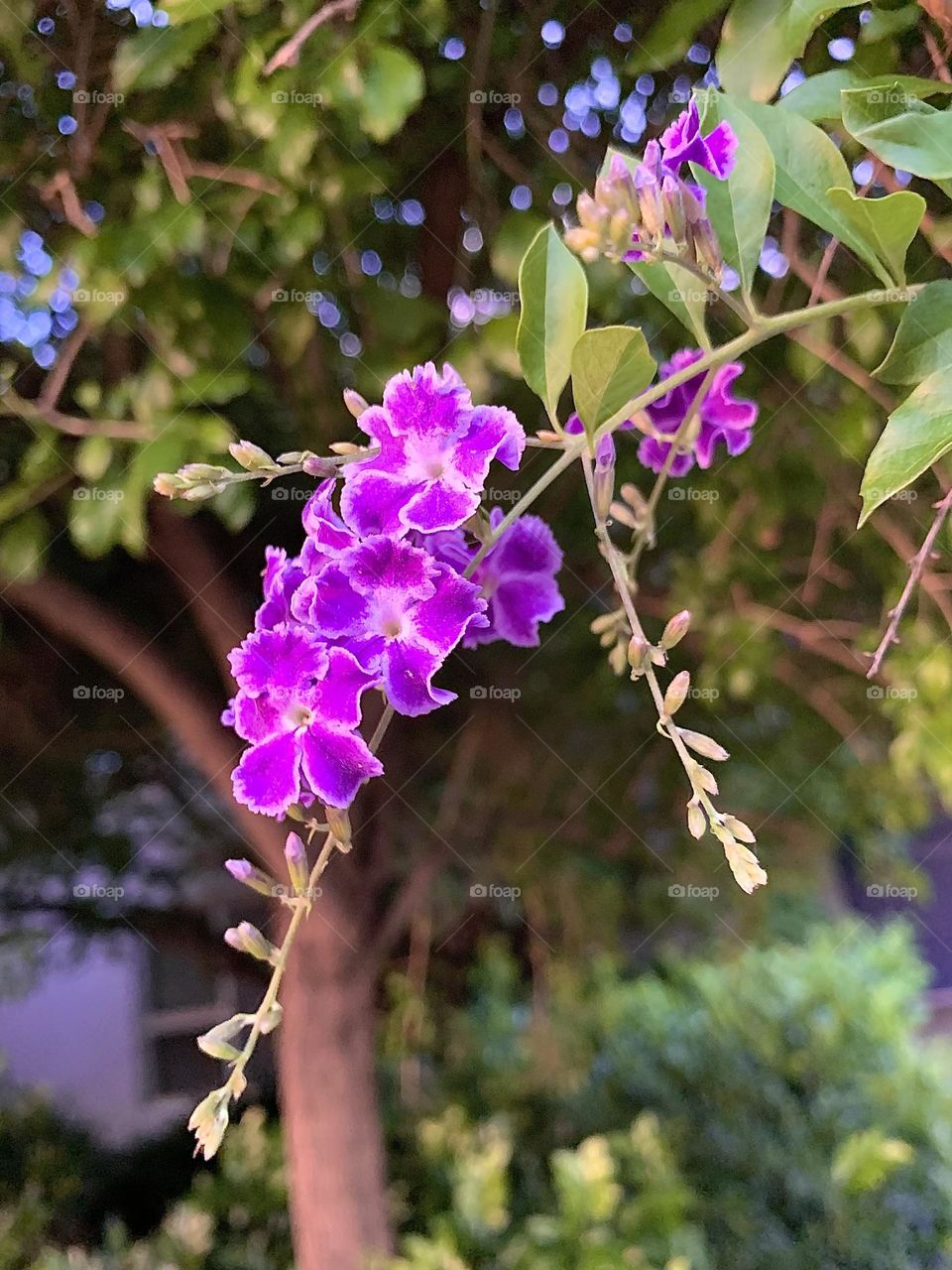 “Do not go where the path may lead, go instead where there is no path and leave a trail.”