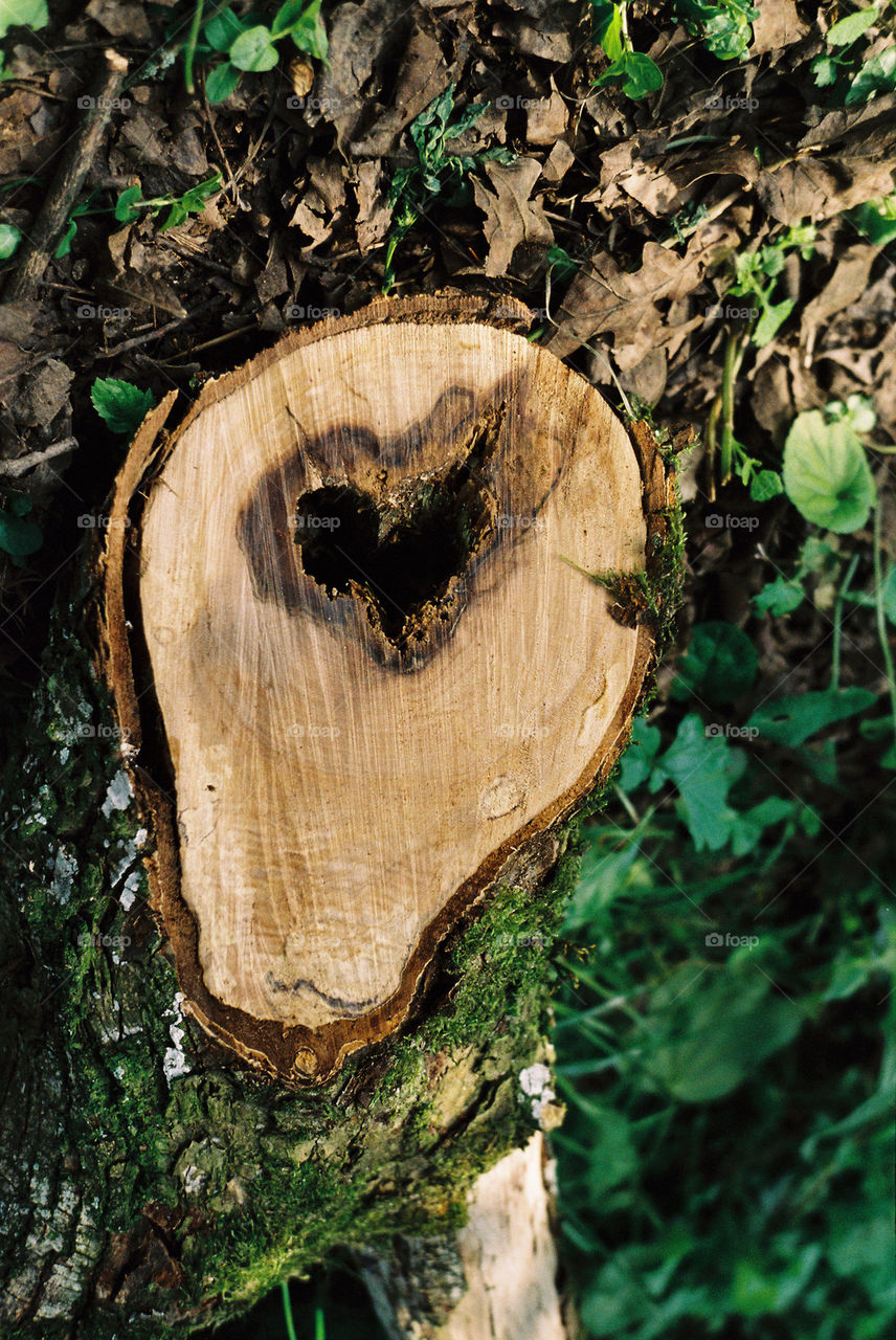 heart on wood