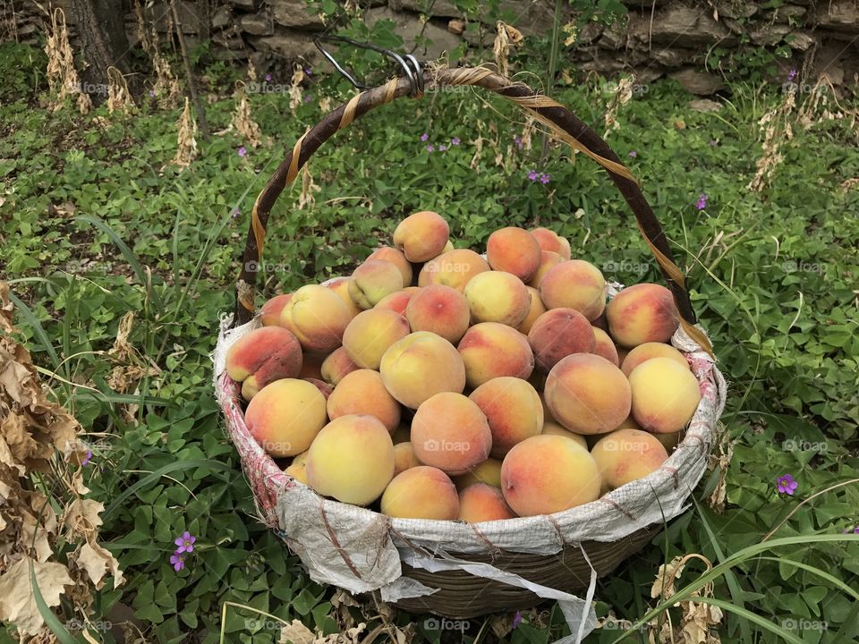 peach basket
