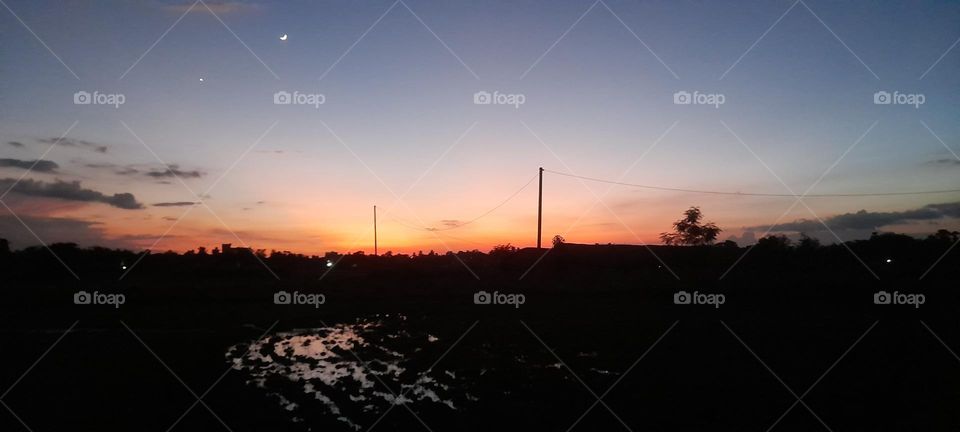 everything phone in nature