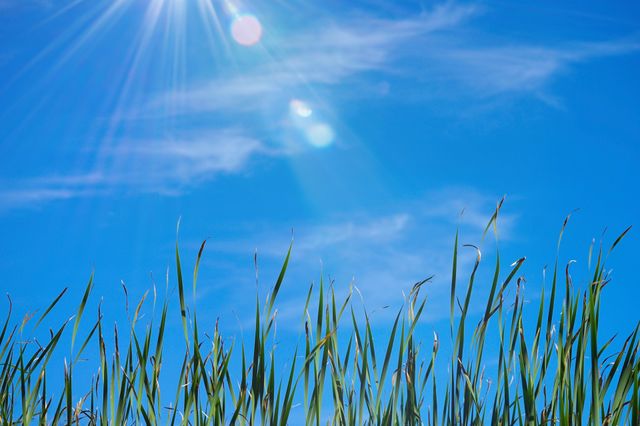 Perfect Summer Day 