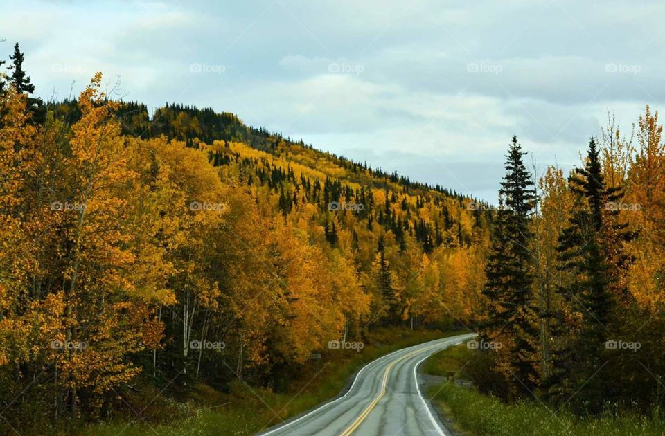 Alaska in fall