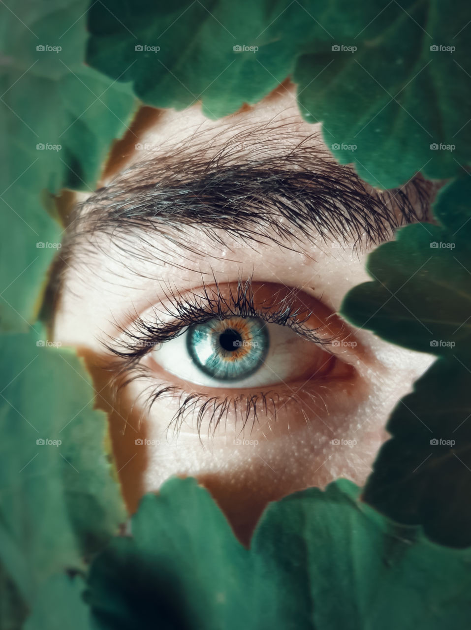 Close-up eye peek through green leaves