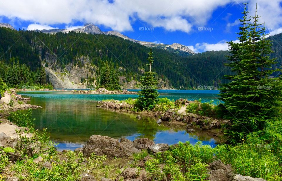 A gorgeous turquoise coloured glacial lake surrounded by tall peaks, subalpine meadows and evergreen forests.