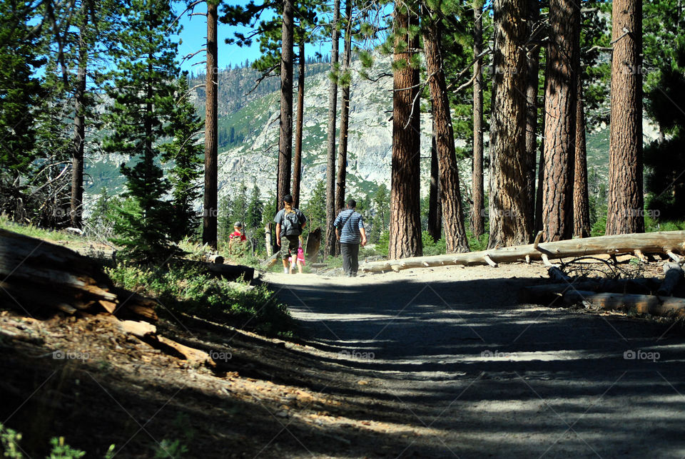 Hiking in the forest