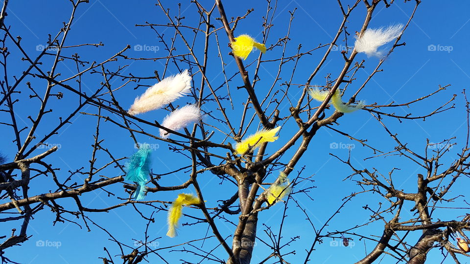 Tree decorated with colorful feathers, Easter decoration - påsk träd dekorerat med fjädrar i olika färger 