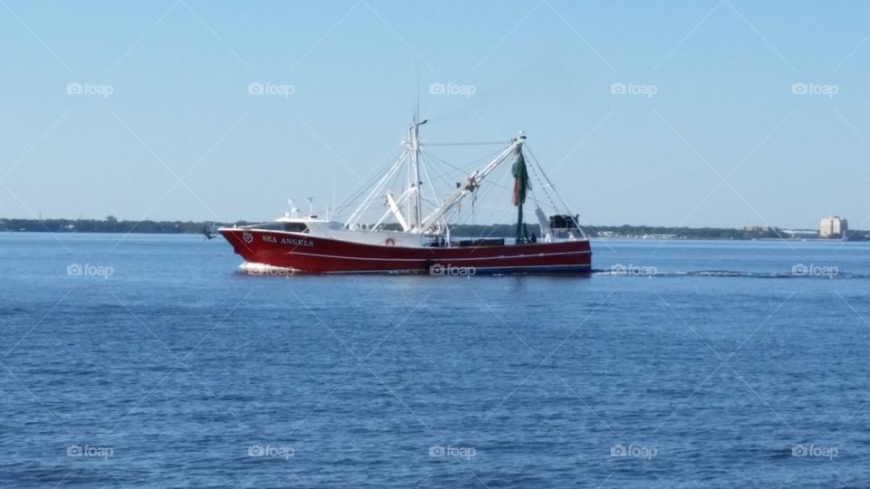 Shrimp Boat