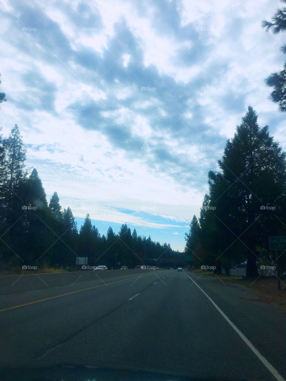 Carretera nubes y árboles
