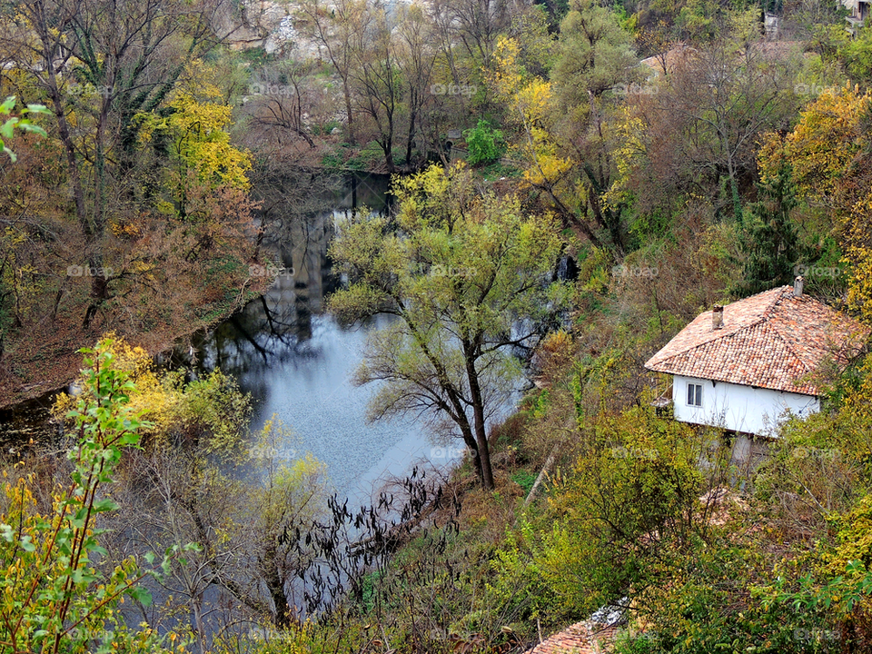 Hose above the river