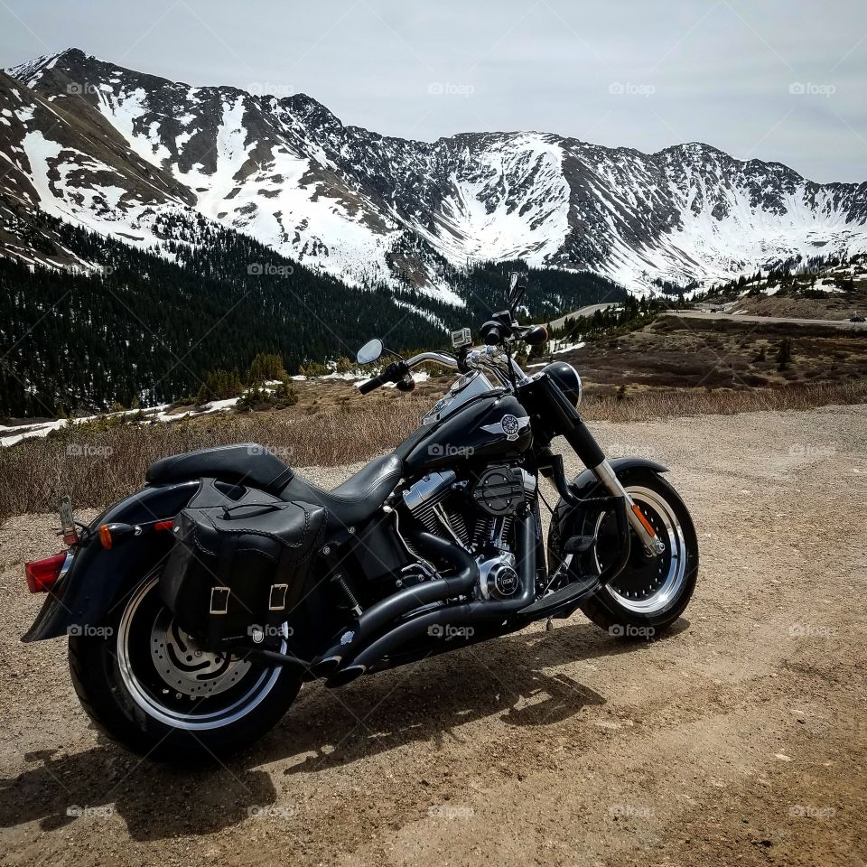 harley davidson Fatboy