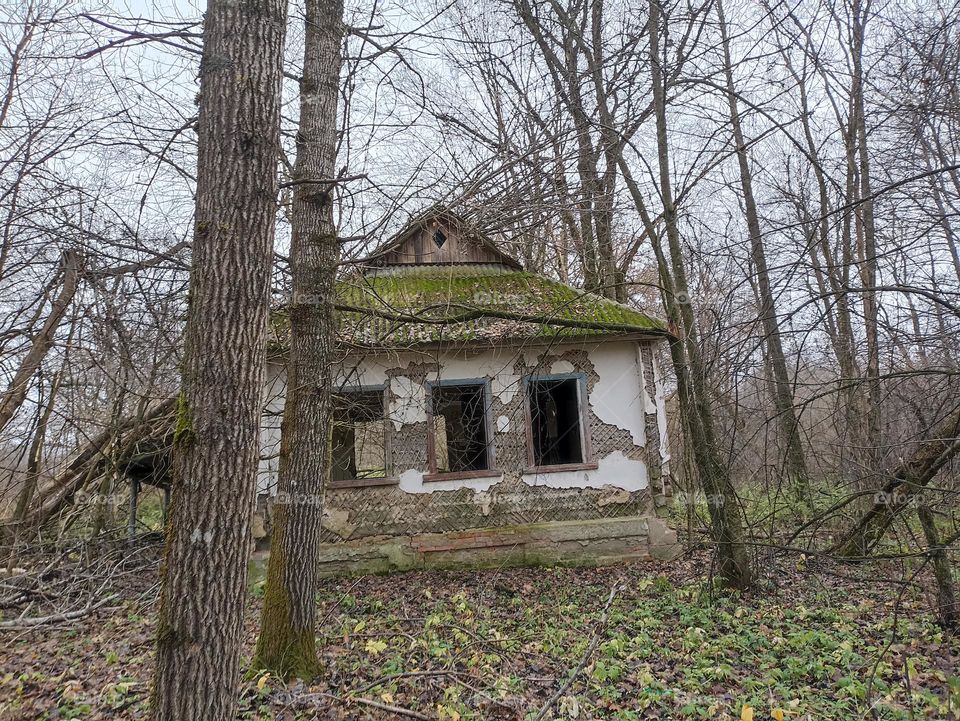 An abandoned house in the woods