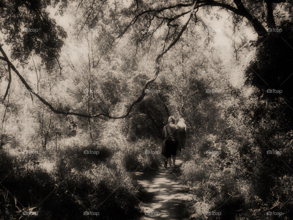 Black and White walk thru the Woods
