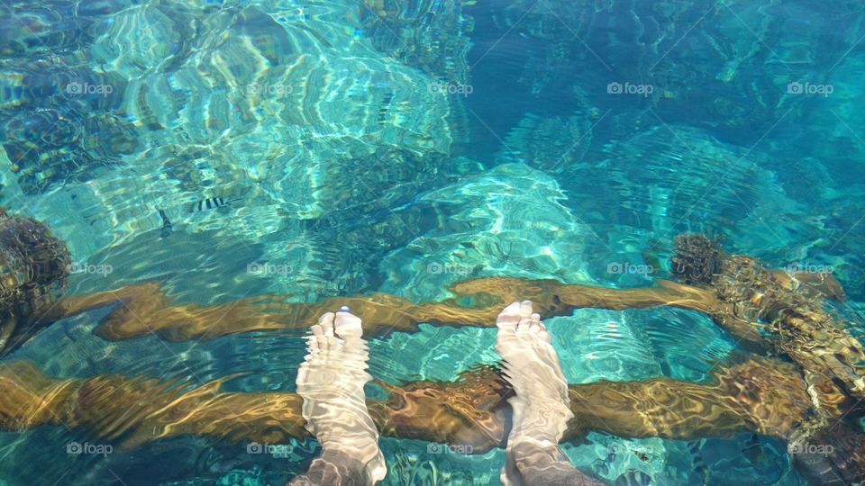 foot and fish playing in the ocean, Koh Tao Thailand, point of view
