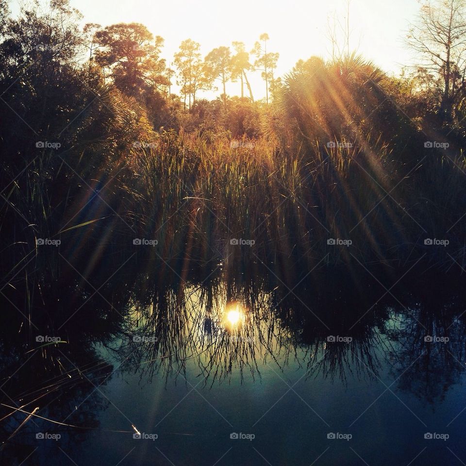 Reflections in water