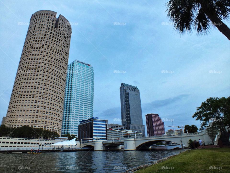 My hometown Tampa, FL