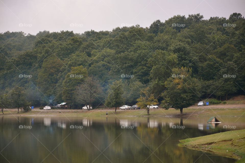 cars and trees reflection on water