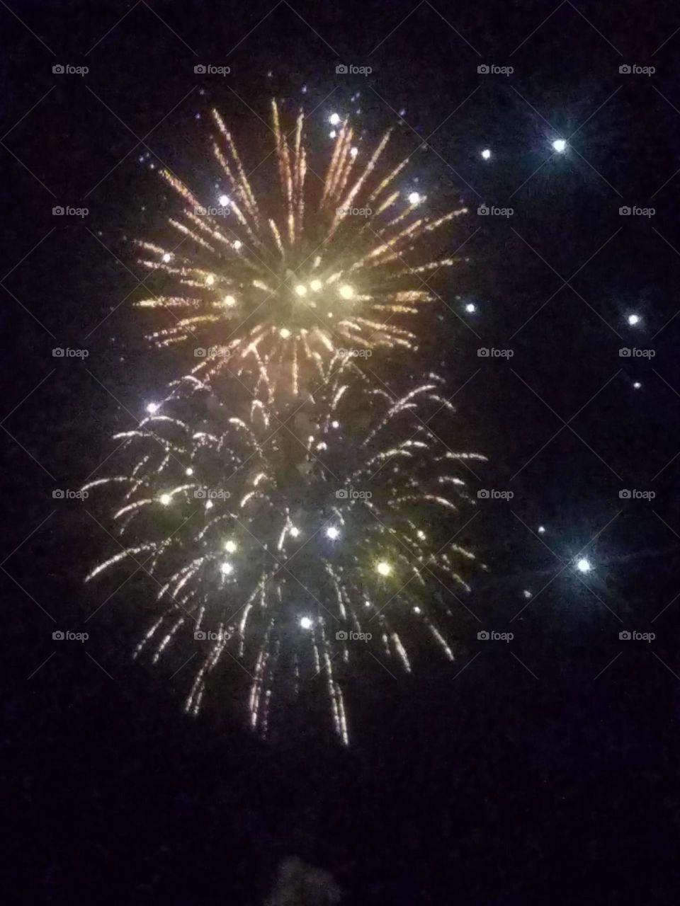 veterans day fireworks