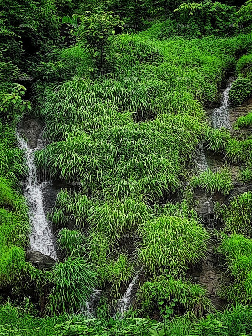 A waterfall during monsoon in India