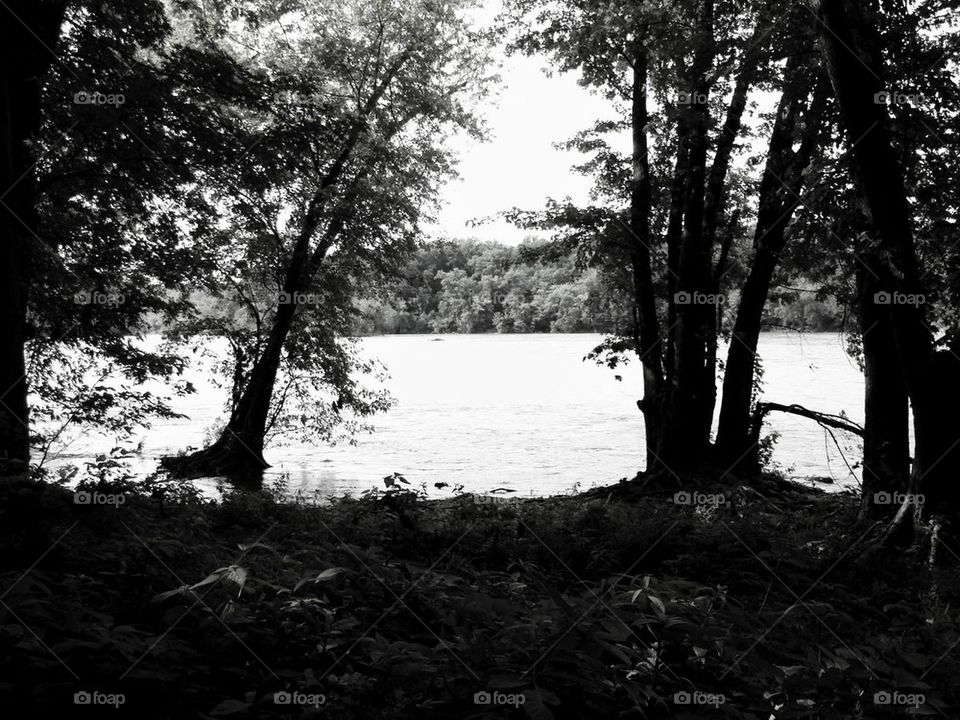 Potomac river black and white