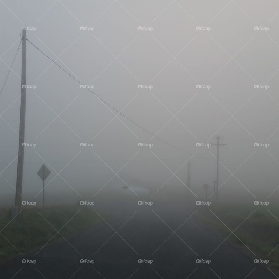 foggy mountain morning