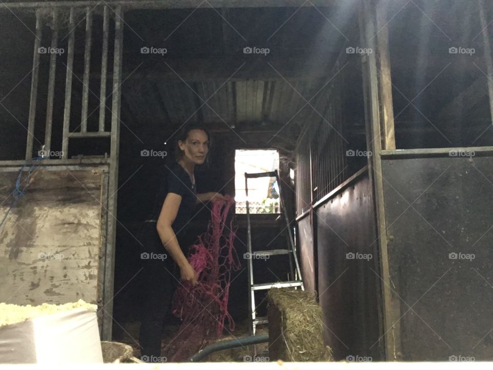 Hay when filling horse feed 