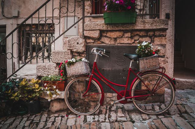 Flowers around the bicycle
