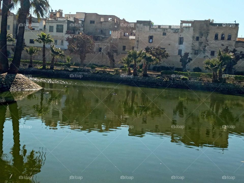 Population between the nature