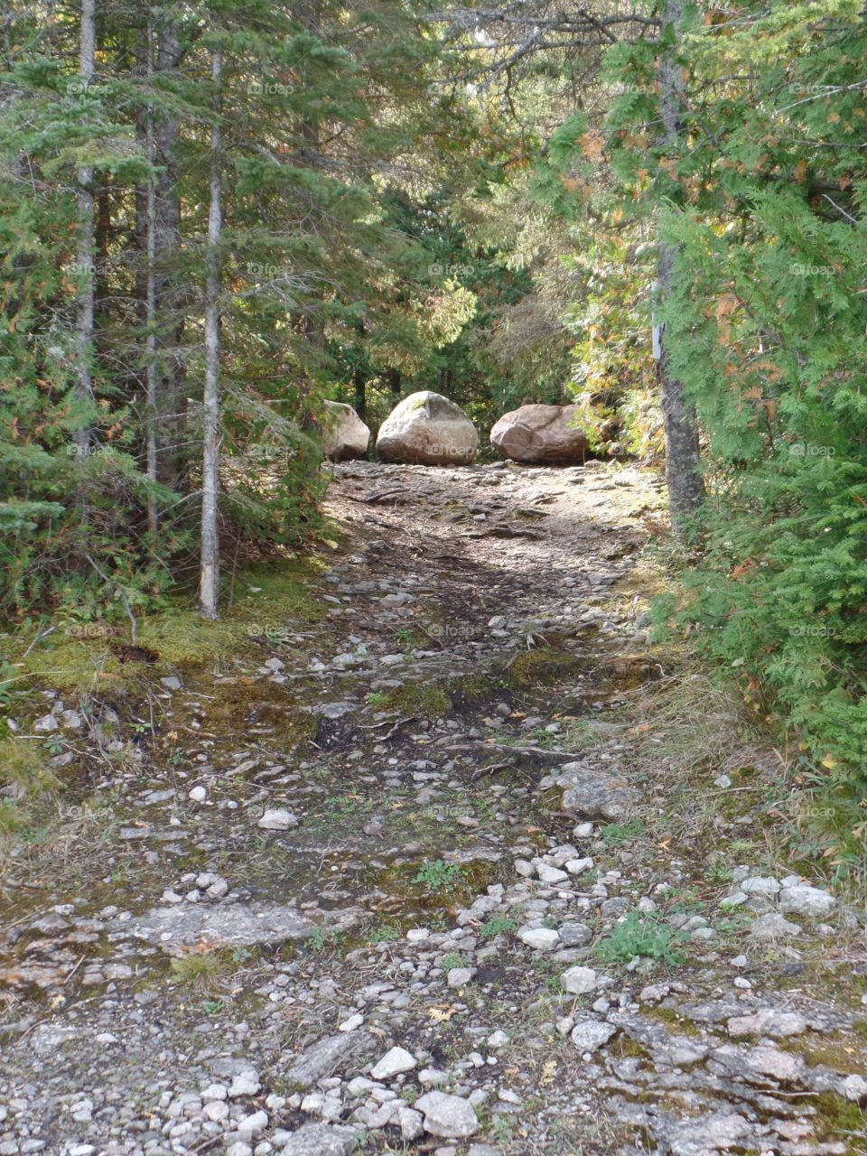 Drummond Island, Michigan 