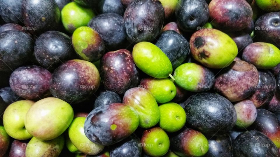 Freshly harvested olives.