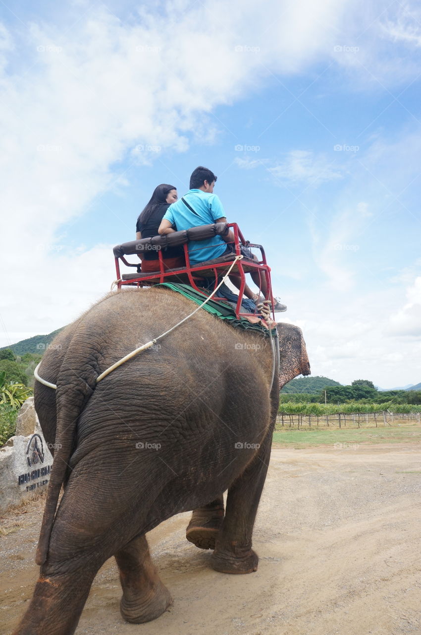 Let's Go. Enjoying the elephant ride at the vineyard in Thailand.