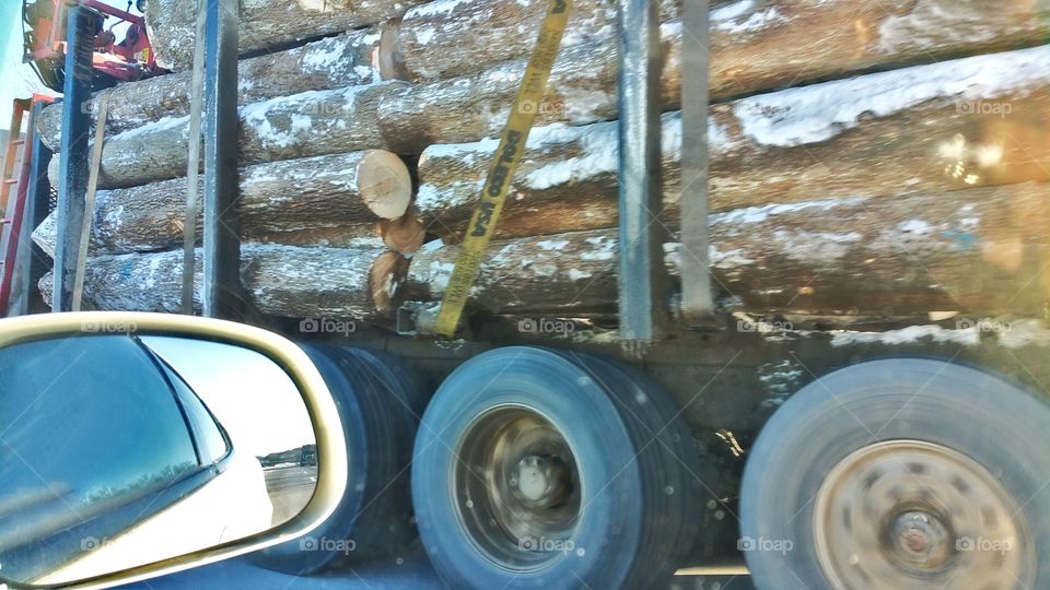 cruising pasta logging truck