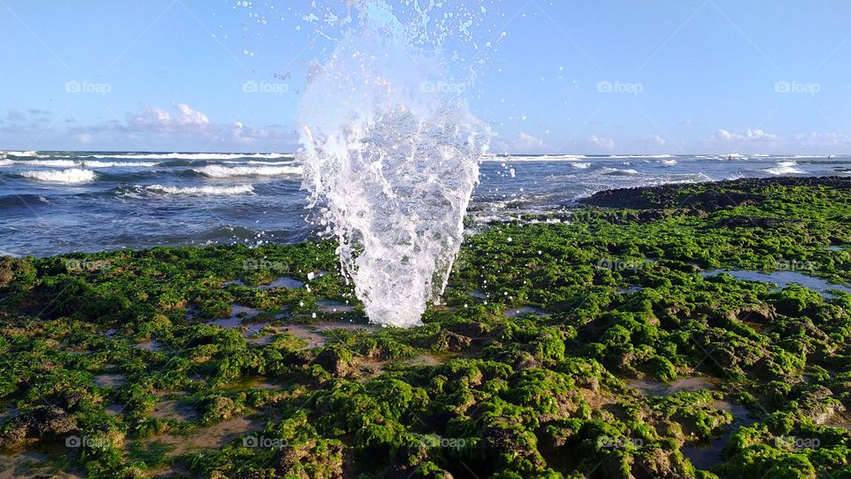 Whale stone, at Ipitanga beach, Lauro de Freitas, Bahia Brazil