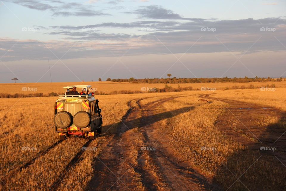 Sunrise in the Maasai Mara 
