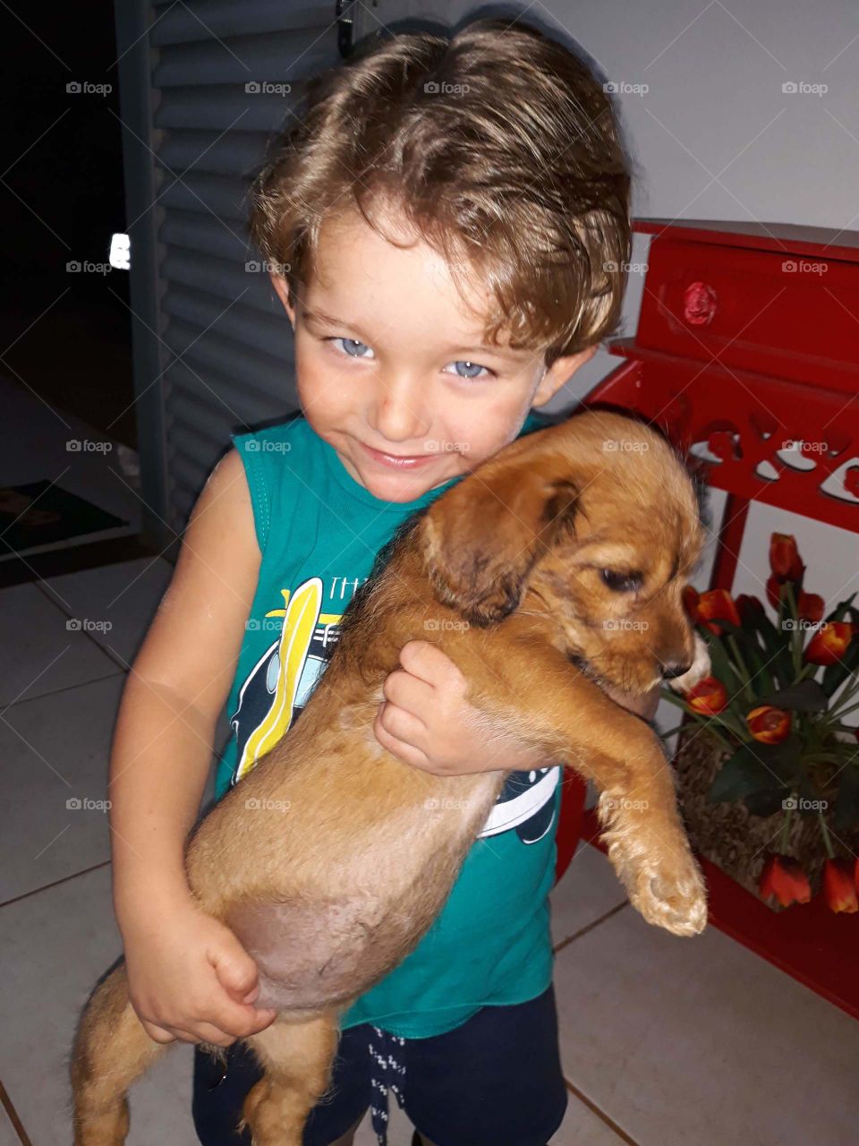 beautiful child playing with the happy dog