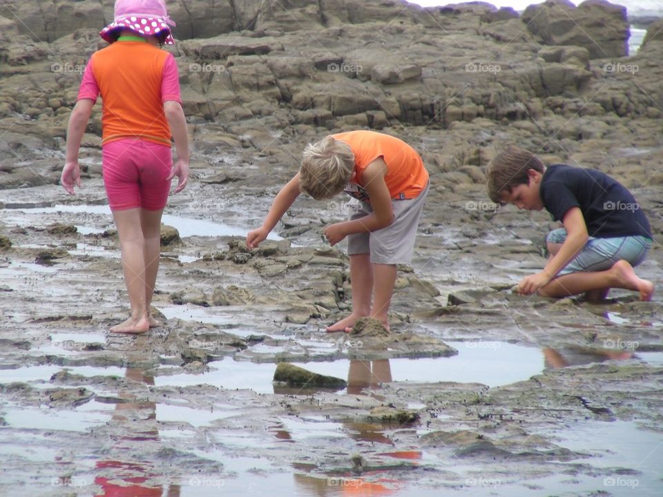 Exploring the rock pools