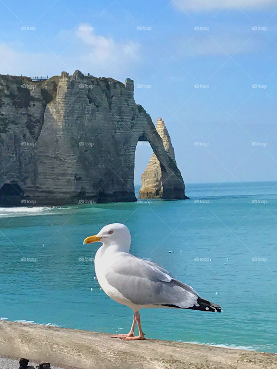 Etretat Cliffs, Normandy, France