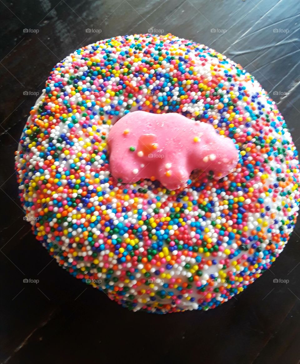 Sprinkle Donut