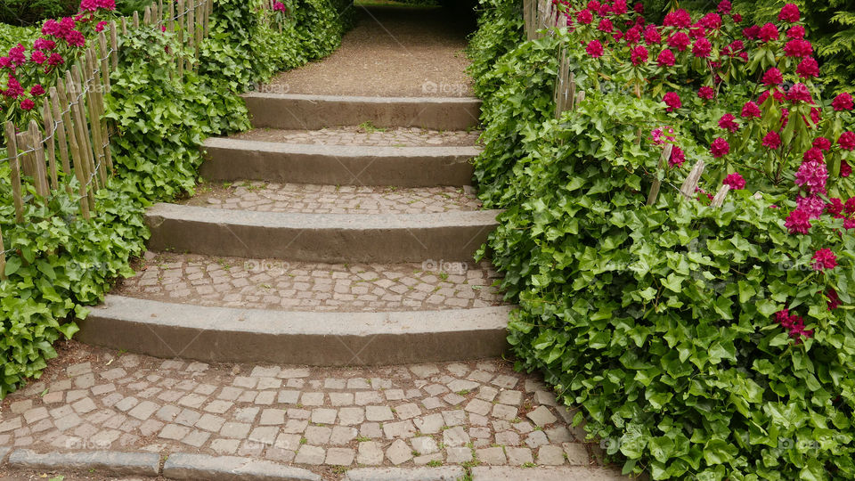 Stone stair in a garden.