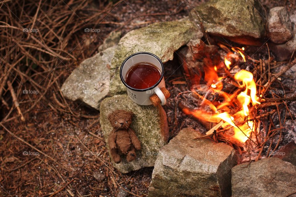 Trip. Mountains. Teatime. Teddy.