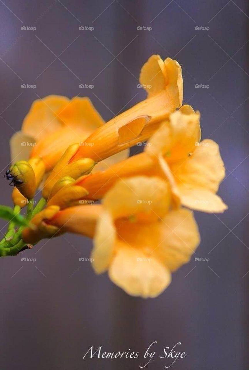 Small being, BIG World!