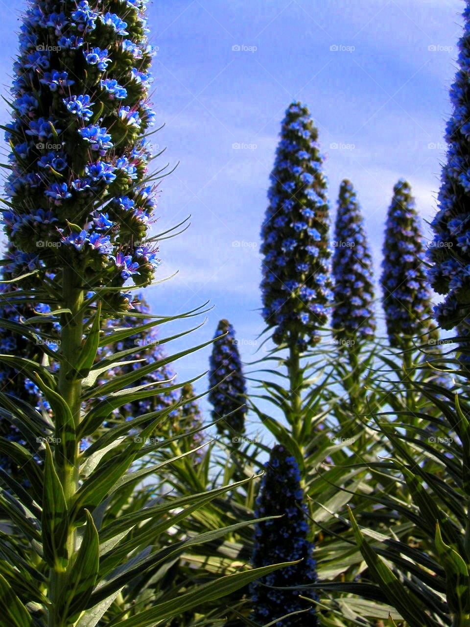 It's a beautiful world